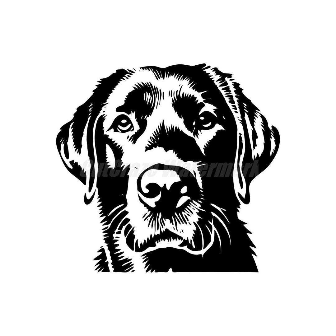A Stencil-style Labrador Retriever Svg Dxf and Png Files - Instant ...