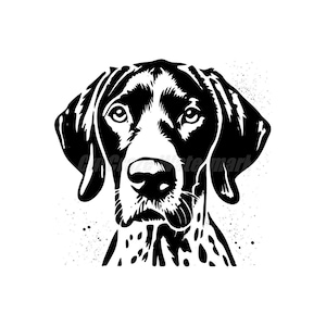 May include: Black and white illustration of a German Shorthaired Pointer dog's head. The dog has a spotted pattern on its face and a serious expression.