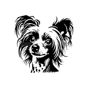 May include: Black and white illustration of a Chinese Crested dog with a long, flowing coat. The dog has a serious expression and is looking directly at the viewer.