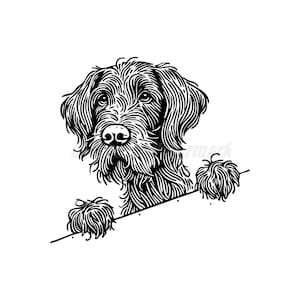 Puede incluir: Ilustración en blanco y negro de un perro mirando por encima de una superficie con sus patas visibles. El perro tiene un hocico largo y orejas caídas.