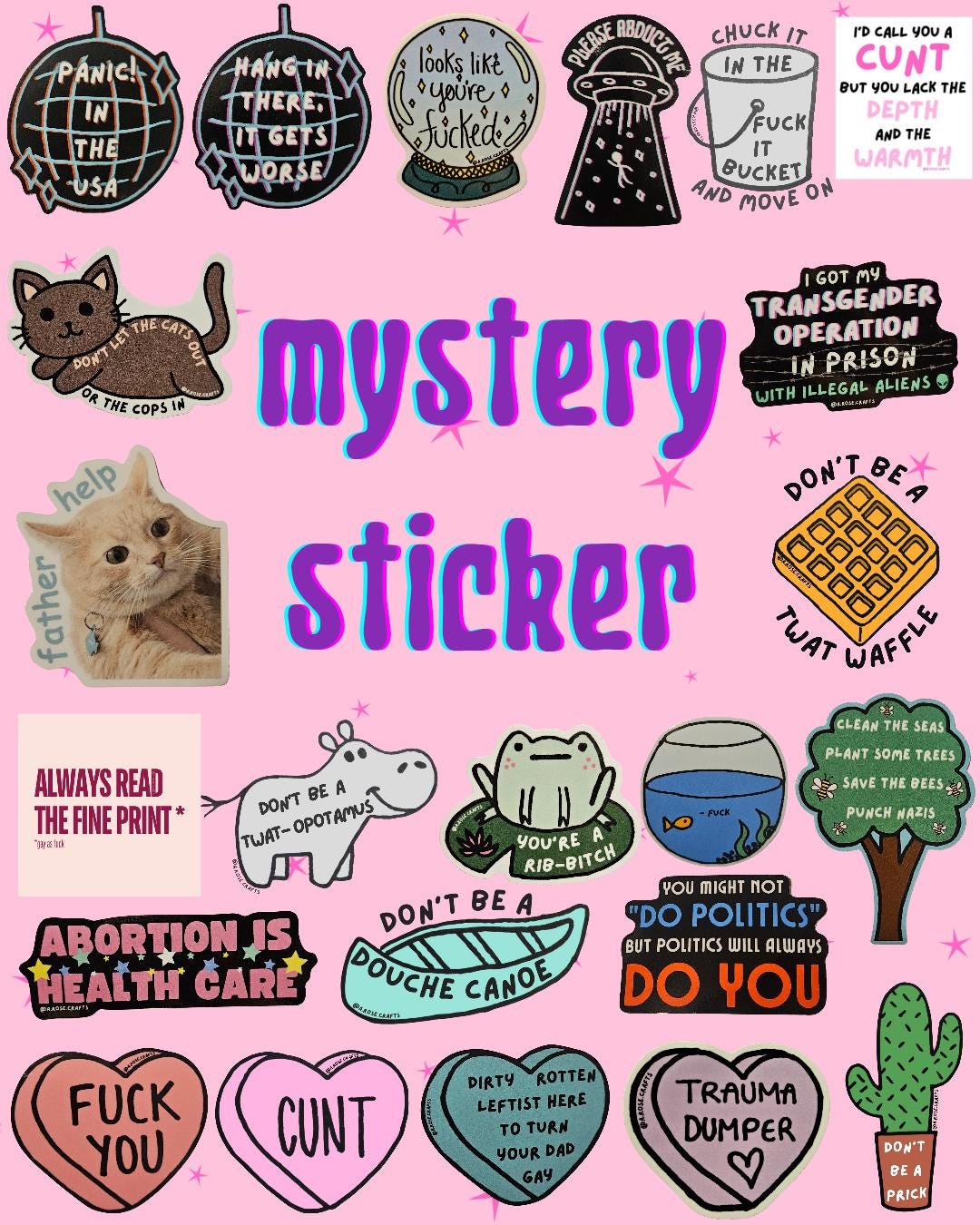 MYSTERY STICKER | Funny Swear Word Sticker for Waterbottle, Kindle ...