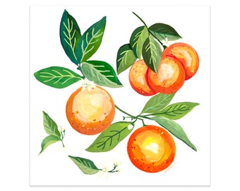 Orange Blossom Art Print Citrus Gouache Orange Painting Florida Oranges California Fruit Produce