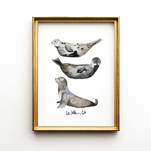 Seals Watercolor Art Print-Seals of La Jolla-California Marine Life