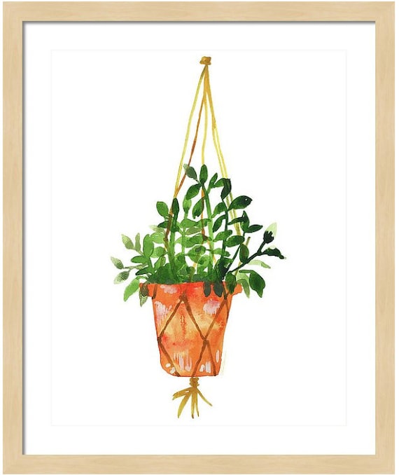 bamboo tree plants Giant Timber Bamboo main image 1