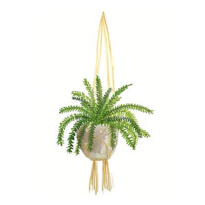 May include: A green fern plant in a white ceramic pot hanging from a macrame plant hanger made of natural woven rope.