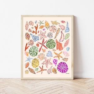 Colorful Seashells Art Print