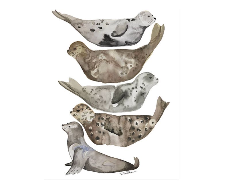 Seals Watercolor Art PrintWall DecorSeal IllustrationBeach Etsy