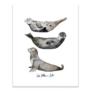 Seals Watercolor Art Print, Animals, Marine Life, Illustration Nursery Art, Ocean, La Jolla Seals, Sea Lion