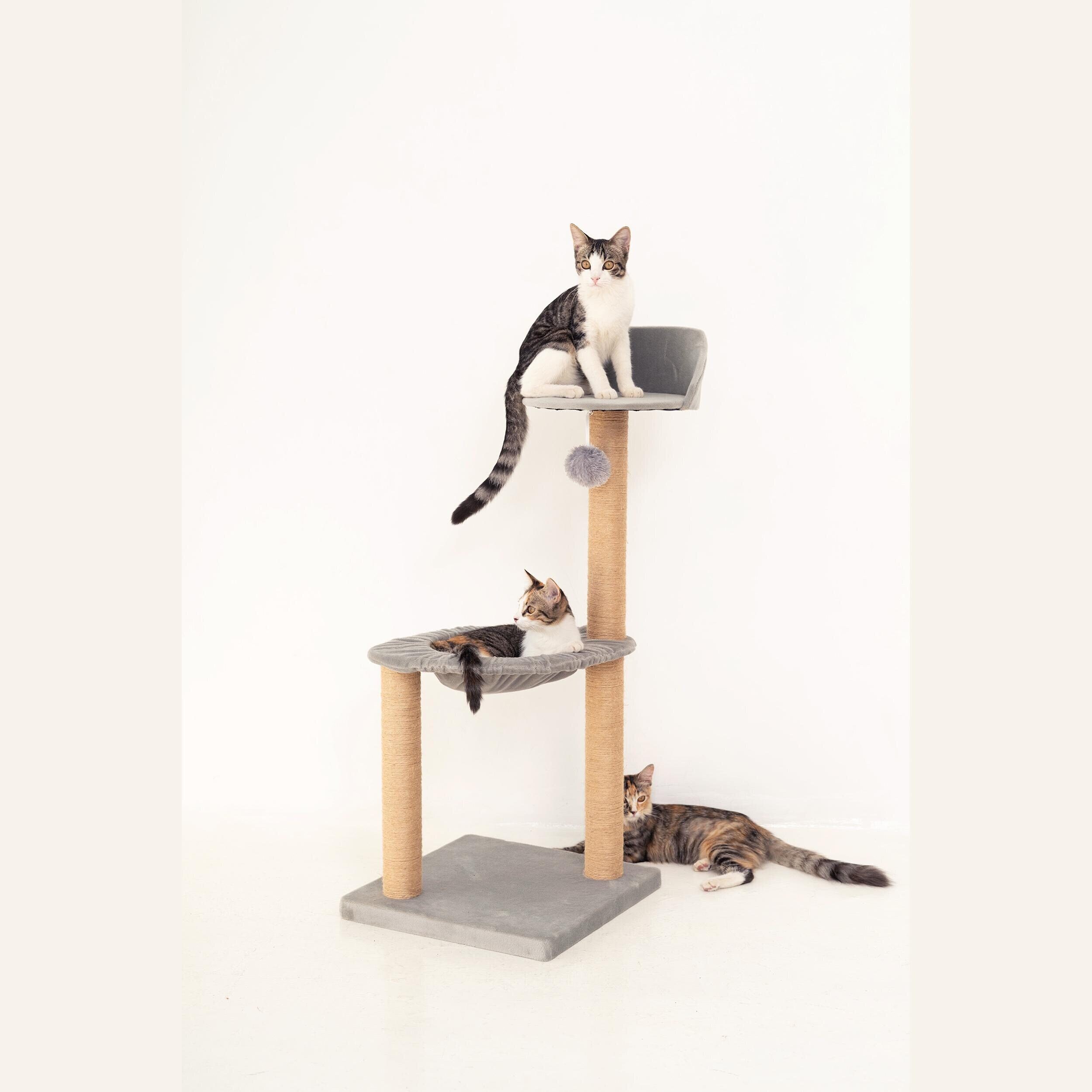 lazy cat furniture