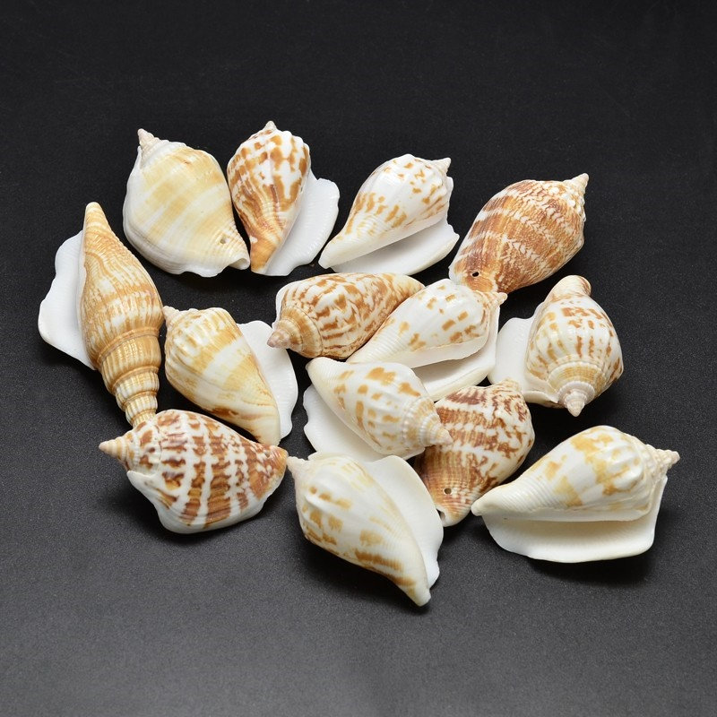 Queen Conch Shell Roundel Beads • 4 mm Size • Length 40 cm • AAA