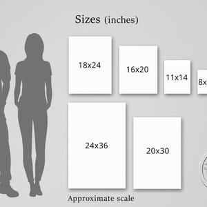 May include: A chart showing different sizes of prints in inches, with a silhouette of a man and woman for scale. The sizes are 8x10, 11x14, 16x20, 18x24, 20x30, and 24x36.