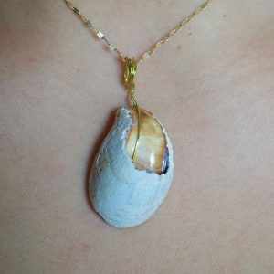 Seashell Pendant #11