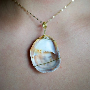 Seashell Pendant #3
