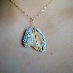 Seashell Pendant #5