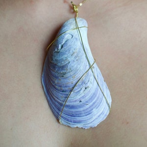 Seashell Pendant #1
