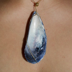Seashell Pendant #12