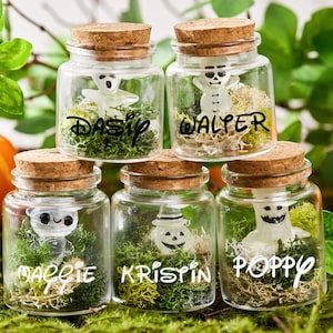 Fantasma en una botella, brilla en la oscuridad, fantasma en un frasco, regalo de Halloween personalizado, regalos de fiesta de Halloween, regalo espeluznante, regalo de truco o trato