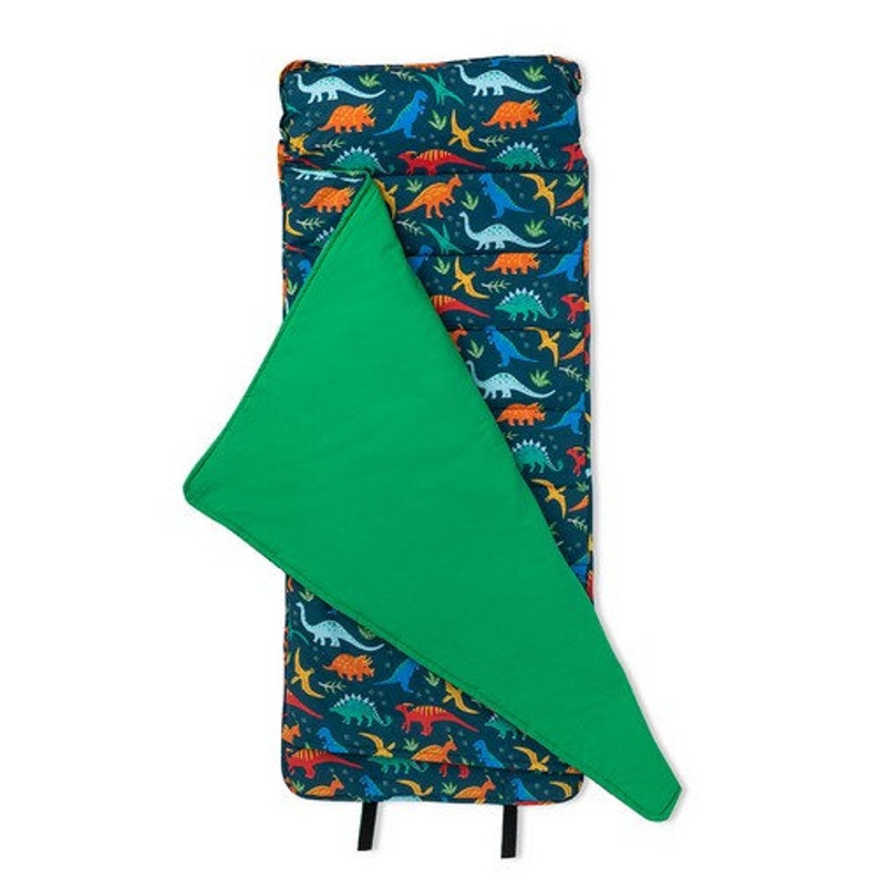 May include: A green and blue dinosaur-themed nap mat with a removable green cover. The mat has a variety of colorful dinosaurs printed on it.