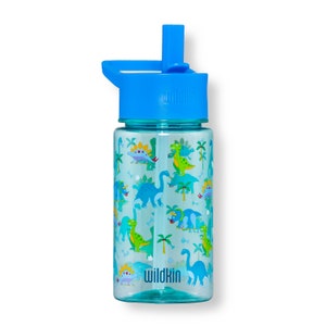 Wildkin dino land water bottle