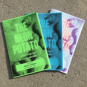 ZINE “The Neon Potato: Volume II, Reedsy Prompts”