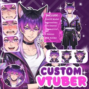 Modello VTuber personalizzato Live2D / Rigged per VTube Studio / Pronto per lo streaming