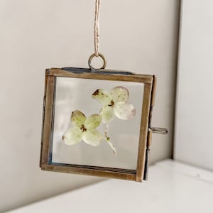 May include: A small brass picture frame with a hinged back hangs from a twine cord. The frame contains two pressed white flowers with brown stems.