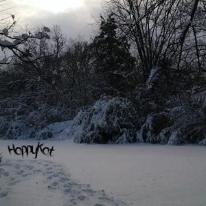 Snowy Walk