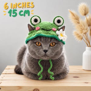 Haakpatroon voor een kikkermutsje voor katten, one size fits all (PDF).