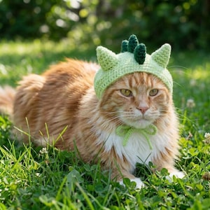 May include: A ginger cat wearing a light green crocheted dinosaur hat and matching bow tie, resting in green grass. The hat features pointed ears and three dorsal spikes. The cat's fur is a mix of orange and white.