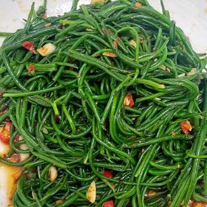 Mongolian chive onion Allium mongolicum Regel seeds 沙葱 蒙古韭 10 rare seeds US Free shipping