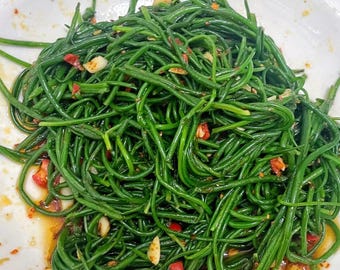 Mongolian chive onion Allium mongolicum Regel seeds 沙葱 蒙古韭 10 rare seeds US Free shipping