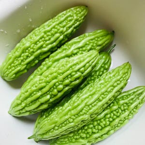 May include: Several bright green bitter melons with a bumpy, ridged texture are arranged in a white container. The oblong vegetables have a vibrant green color and are likely fresh produce.