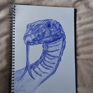 May include: A blue ink pen drawing of a snake's head and neck. The snake is drawn in detail, with scales and a forked tongue. The drawing is on a white sheet of paper.