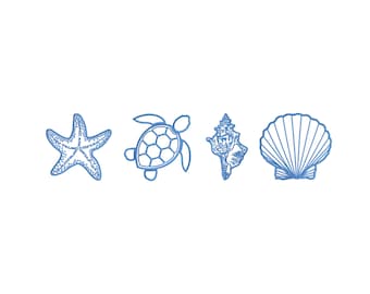 Diseños de bordado de conchas marinas: Tema de playa de verano (Descarga instantánea)