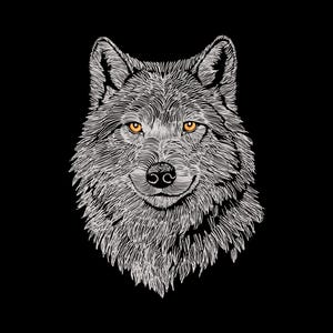 May include: A detailed illustration of a wolf's head, rendered in white lines against a black background. The wolf's fur is textured, and its eyes are a striking yellow-orange. The image is a close-up, focusing on the animal's face.