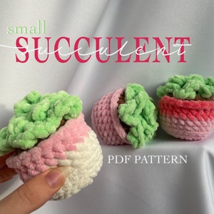 May include: A PDF pattern for crocheting small succulent plants. The pattern includes three different succulent designs, each with a pink and white pot. The succulents are green and fuzzy.