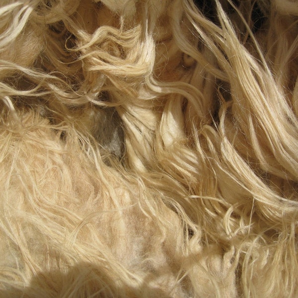 SALE 1 lb. Raw Wool Navajo Churro