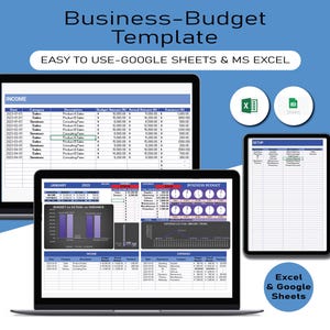 Business Budget Template, Business Budget Spreadsheet, Financial Planning Sheet, Business Financial Template, Profit and Loss Income