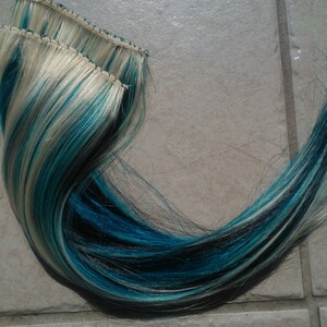 Frost Accent Clip In&#39;s
