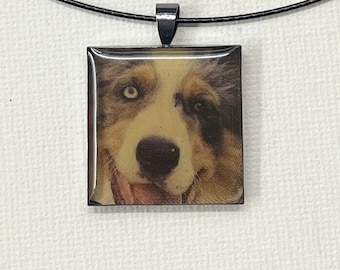 Pastor - Square resin pendant with an Australian Sheppard head