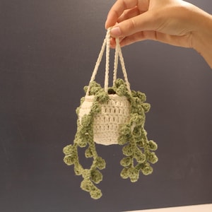 Crochet String Of Pearls Hanging Basket- Boho Plant Decor- Hanging Pot