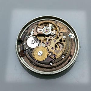 May include: Close-up of a disassembled watch mechanism. The intricate internal components include various gears, springs, and other small parts. The watch's metal casing is visible, surrounding the internal workings. The gears are gold and silver in color.
