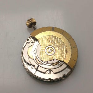 May include: A close-up of a watch movement with gold and silver components. The gold-colored parts have a textured, grid-like pattern. A small, gold-colored screw is visible at the top. The word "RADO" is visible.
