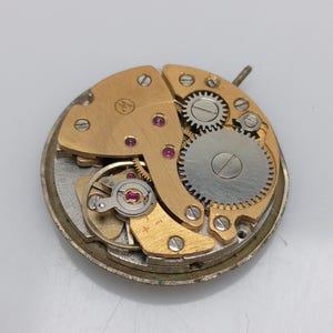 Puede incluir: Primer plano de un movimiento de reloj dorado con engranajes visibles y un peque&ntilde;o tornillo. El movimiento est&aacute; sobre un fondo blanco.