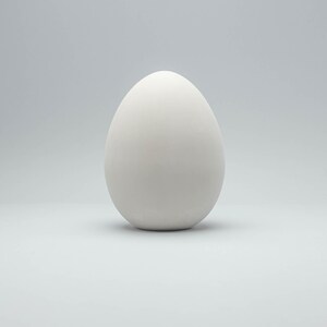 May include: A white egg on a white background.