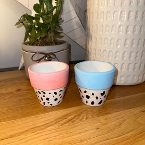 May include: Two small terracotta pots with a black and white animal print design. One pot is painted pink and the other is painted light blue.