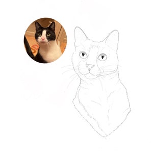 May include: Line drawing of a black and white cat with green eyes. The cat is looking to the right and has a slight smile. The drawing is in a simple style with minimal detail.