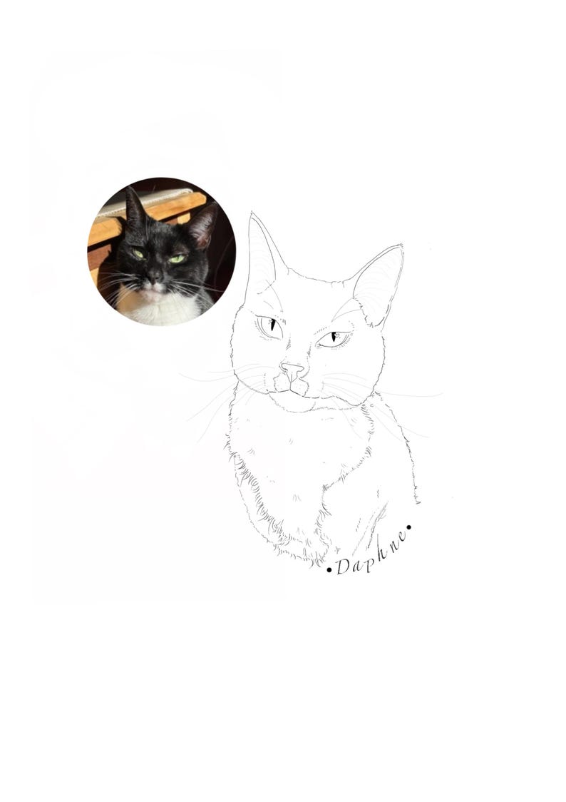 May include: Line drawing of a black and white cat with green eyes. The cat is looking directly at the viewer. The drawing is labeled "Daphne."