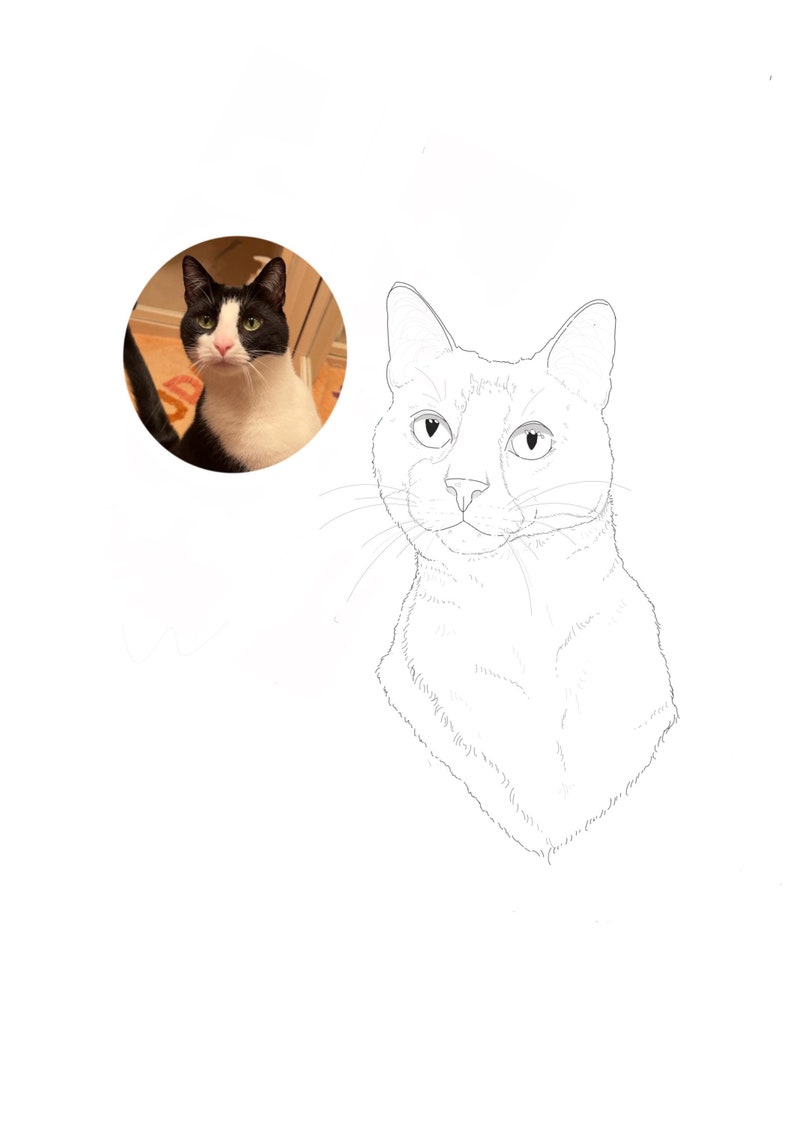 May include: Line drawing of a black and white cat with green eyes. The cat is looking to the right and has a slight smile. The drawing is in a simple style with minimal detail.