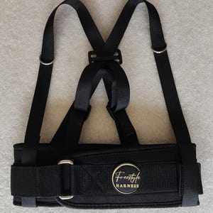 Può includere: Imbracatura nera con cinghie regolabili e elementi metallici. L'imbracatura presenta un'ampia cintura imbottita e un emblema circolare dorato con la scritta "Freestyle Harness". Le cinghie sono collegate con una fibbia di plastica nera.